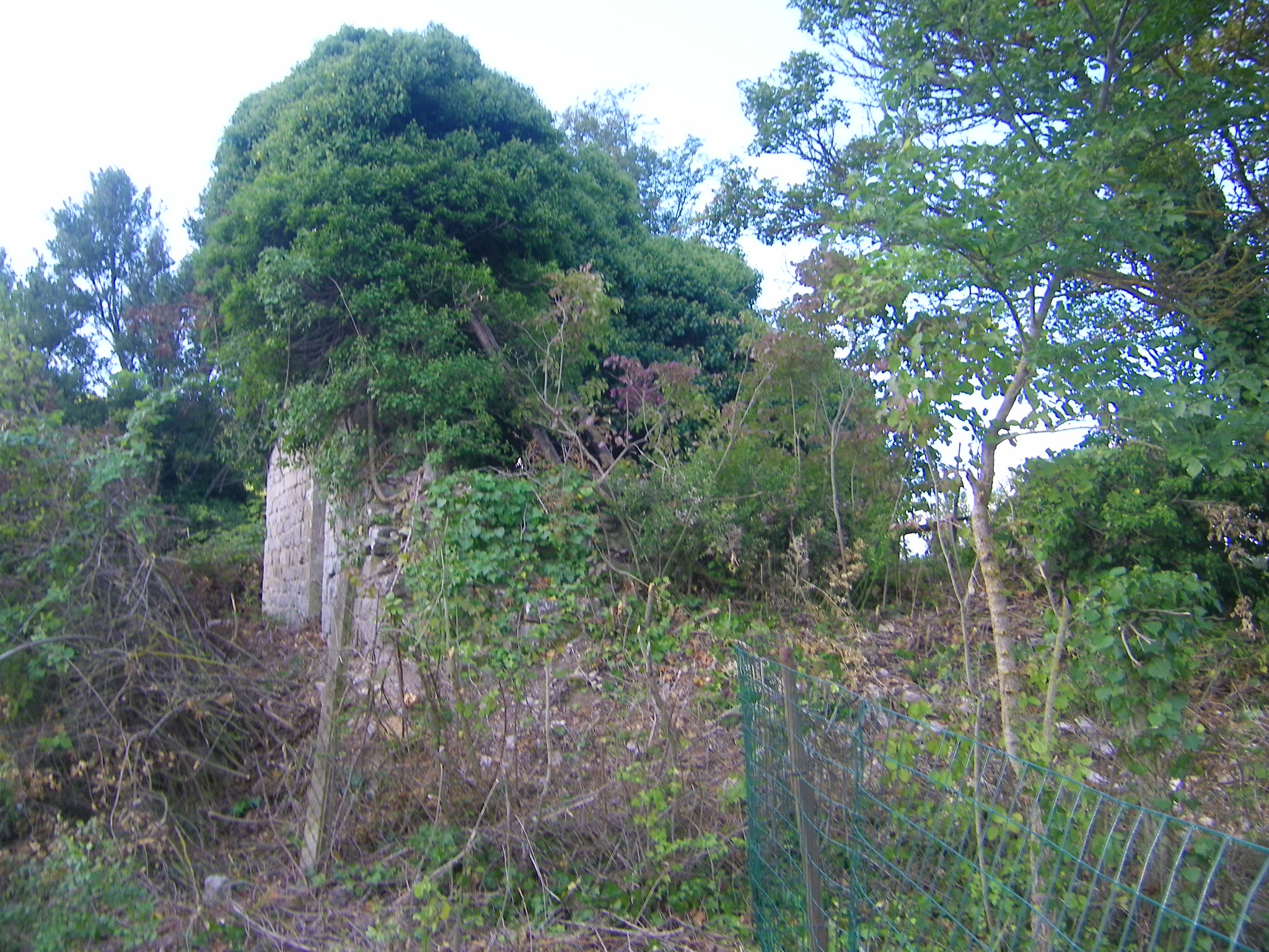 Foto del 2013 dei ruderi dell'abazia di Acqualta
